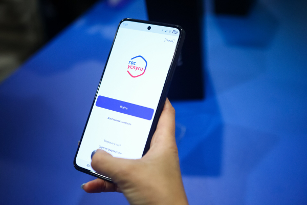 В МВД предупредили о новой схеме мошенников с фальшивой диагностикой &laquo;Госуслуг&raquo;