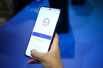 В МВД предупредили о новой схеме мошенников с фальшивой диагностикой &laquo;Госуслуг&raquo;