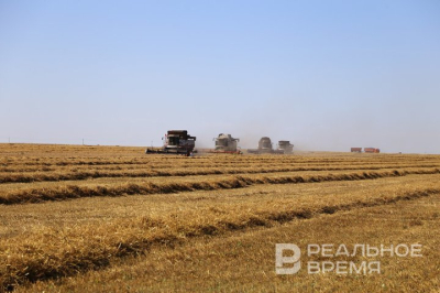 В Татарстане обработали более 2,5 млн куб. м пустых помещений для хранения зерна в 2025 году