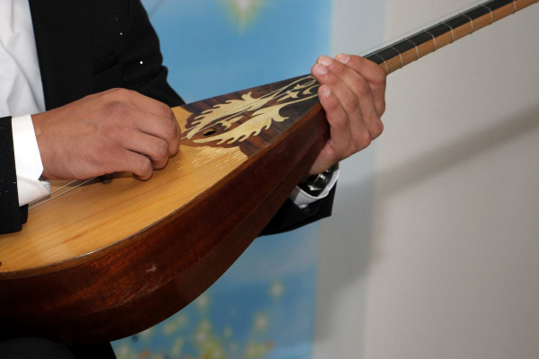 Сенатор предложил ввести статус &laquo;музыкальный мастер&raquo; в Казахстане