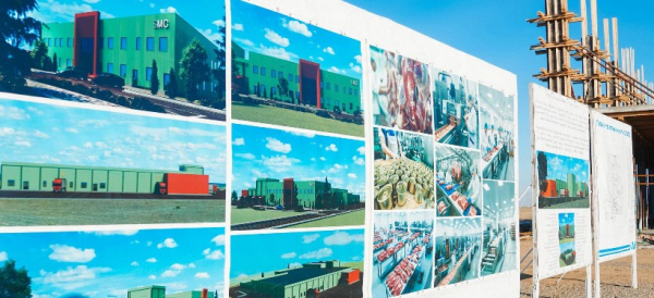 Озвучены сроки запуска крупного мясокомбината в районе Жаңасемей области Абай