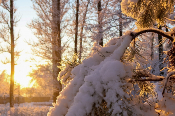 Свердловчан ждет холодный март: ледяные циклоны сменяют друг друга