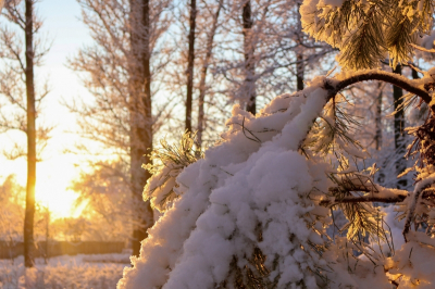 Свердловчан ждет холодный март: ледяные циклоны сменяют друг друга