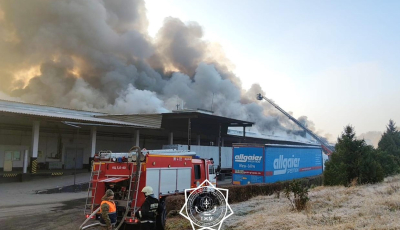 В Алматы тушат крупный пожар