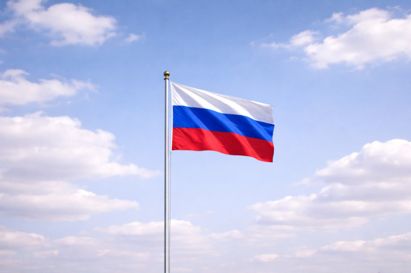 Новак: ситуация в экономике России остается полностью контролируемой