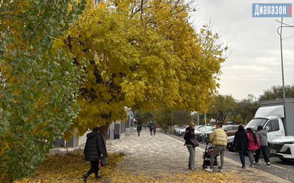 Конец октября в Актобе: дожди и сырость