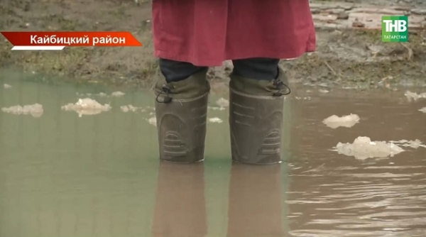 Вода у порога: как половодье-2026 топит Татарстан, Чувашию, Марий Эл