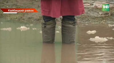Вода у порога: как половодье-2026 топит Татарстан, Чувашию, Марий Эл