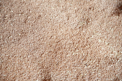 Первую партию казахстанской пшеницы доставили в Армению