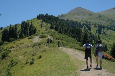 Разрешите покорить