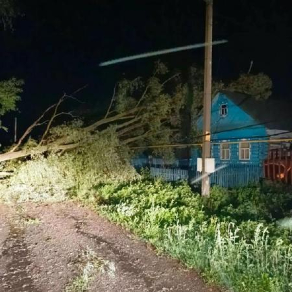 Ночной ветер повалил 20 деревьев в Татарстане, один человек погиб