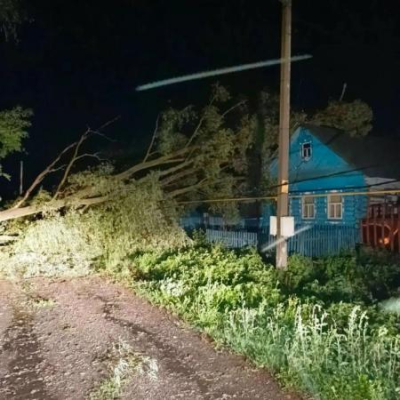 Ночной ветер повалил 20 деревьев в Татарстане, один человек погиб