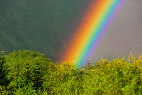 Радуга снится к любви и деньгам: правда или нет?