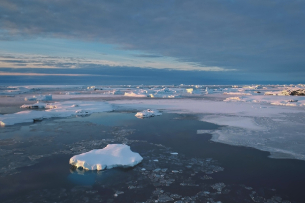 Атомный ледокол &laquo;Сибирь&raquo; экстренно вышел в Финский залив