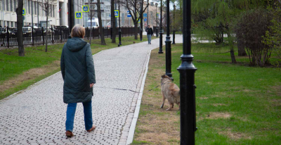 Ветеринар Руденко предупредил об опасности поедания собакой снега с реагентами