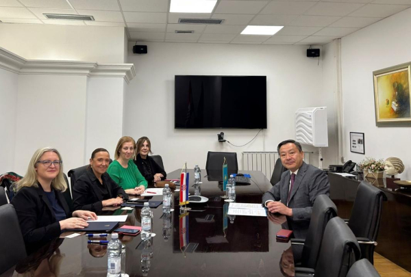 Взаимодействие Казахстана и Хорватии в медицине выходит на новый уровень